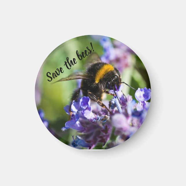 "Save the Bees" Bee on a purple flower Magnet (Front)