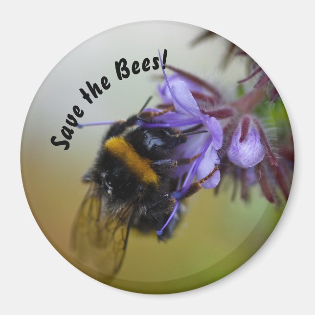 "Save the Bees!" Magnet (Front)