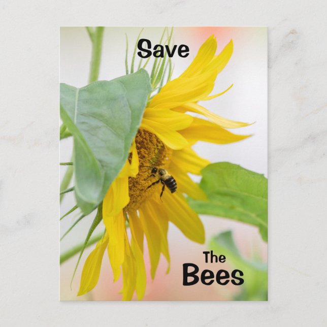 Save The Bees Postcard (Front)