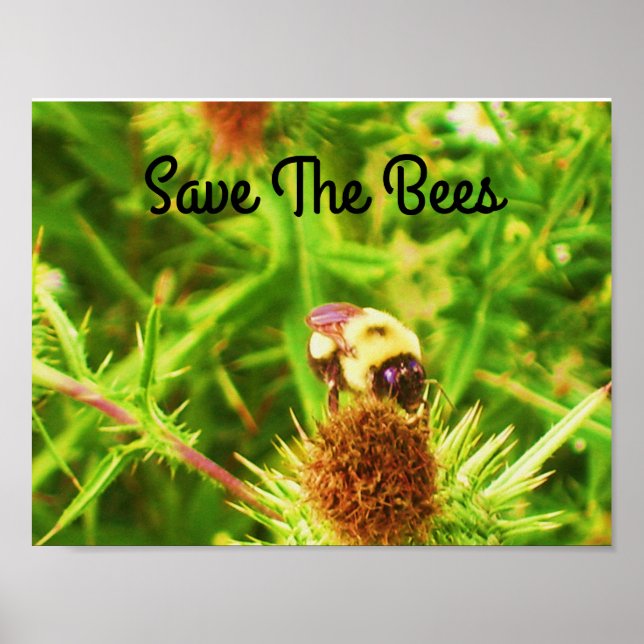 Save The Bees Poster (Front)