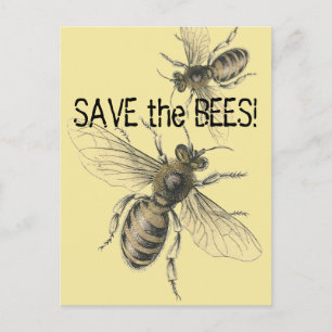 Save the Bees Vintage Bee Images Postcard