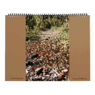 Save the Butterflies 2023 Calendar