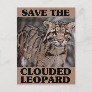 Save the Clouded Leopard Postcard
