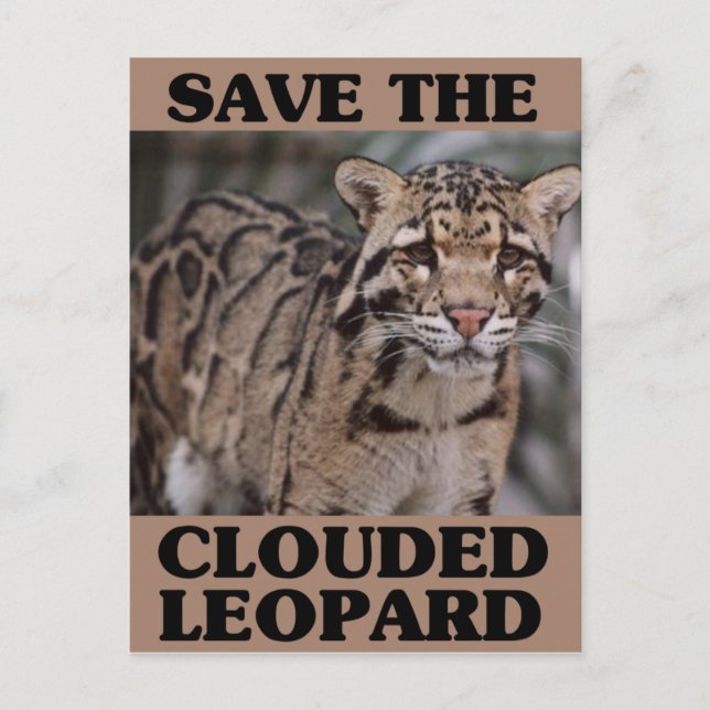 Save the Clouded Leopard Postcard (Front)