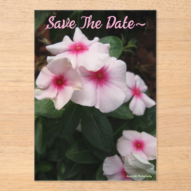 Save The Date 2025/26 Acrylic Invitations (Front)