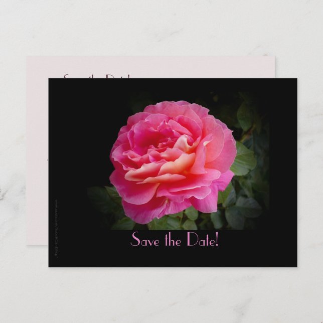 Save the Date 60th Anniversary Party Rose Postcard (Front/Back)