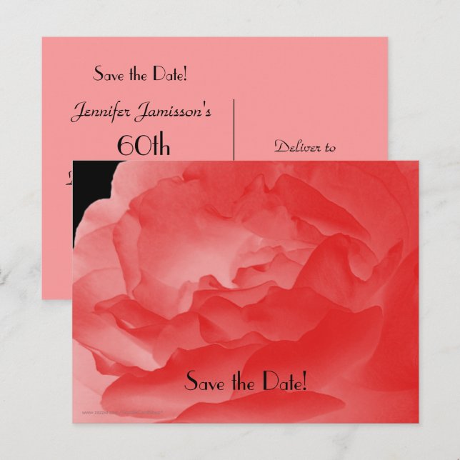 Save the Date 60th Birthday Party Coral Pink Rose Announcement Postcard (Front/Back)