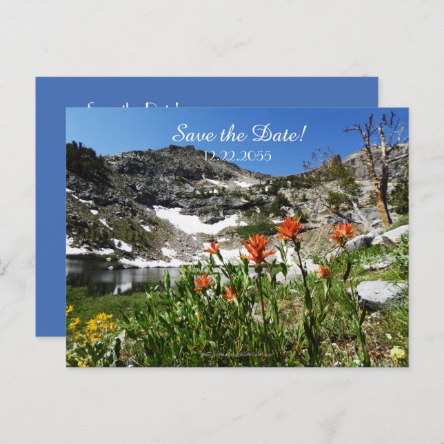 Save the Date 65th Birthday Announcement (Front/Back)