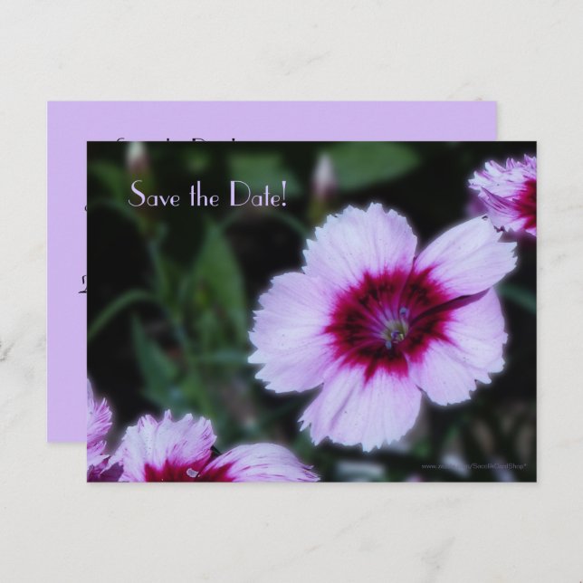 Save the Date 80th Birthday Party Purple Flowers Announcement Postcard (Front/Back)