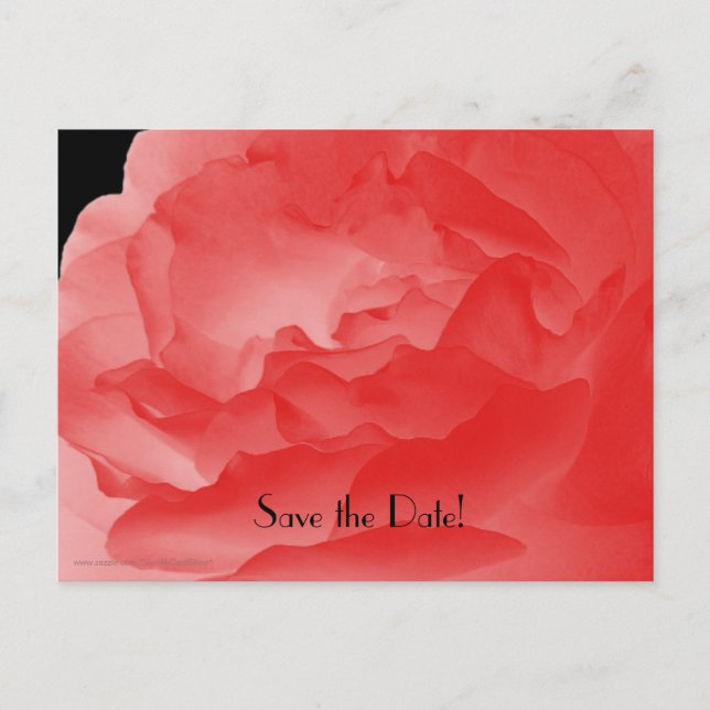 Save the Date 90th Birthday Party Coral Pink Rose Announcement Postcard (Front)