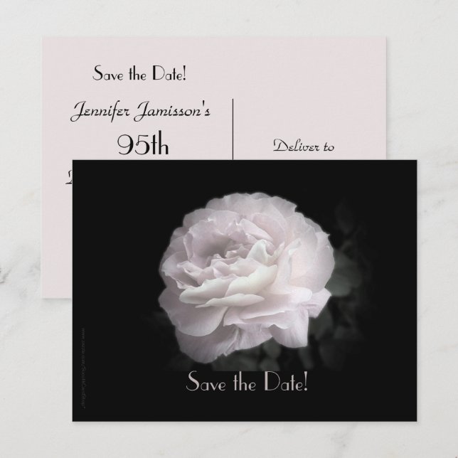 Save the Date 95th Birthday Party Pale Pink Rose Announcement Postcard (Front/Back)