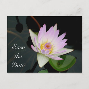 Save the Date Announcement Postcard