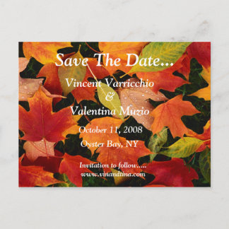 Save The Date Announcement Postcard