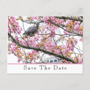 Save The Date Announcement Postcard