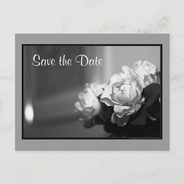 Save the Date Announcement Postcard (Front)
