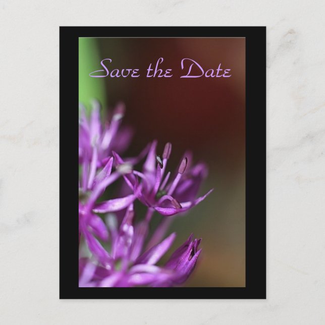 , Save the Date Announcement Postcard (Front)