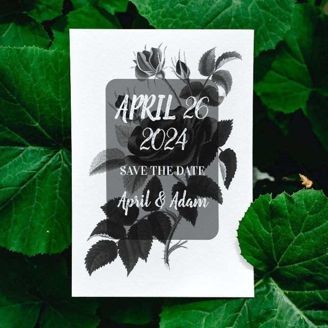 Save the Date Black and White Rose Botanical (Creator Uploaded)