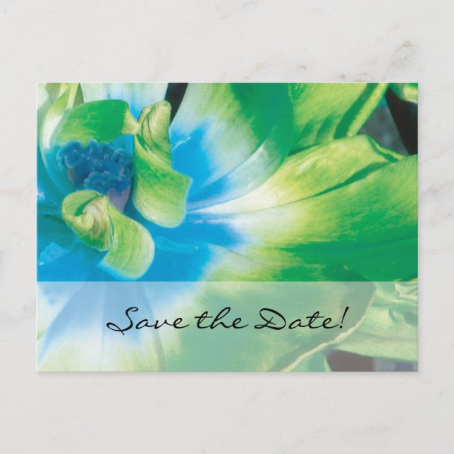 Save the Date! Blue Green Flower Postcard (Front)