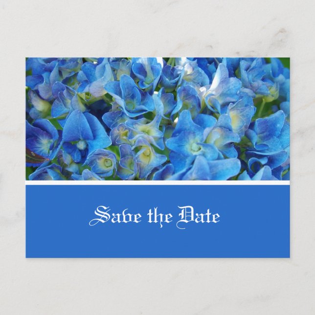 save the date, blue hydrangea flowers announcement postcard (Front)