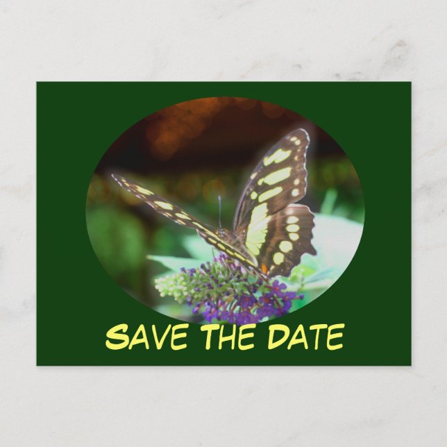 Save The Date Butterfly On Flower Postcard (Front)