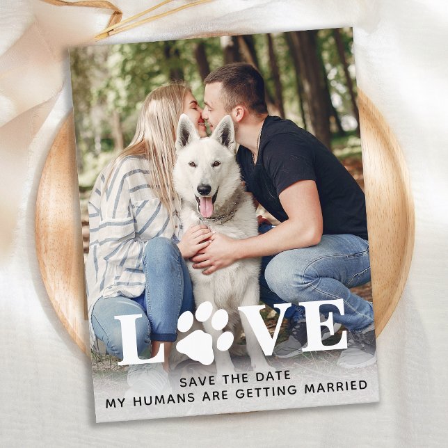 Save The Date Dog Wedding Announcement Postcard (Creator Uploaded)