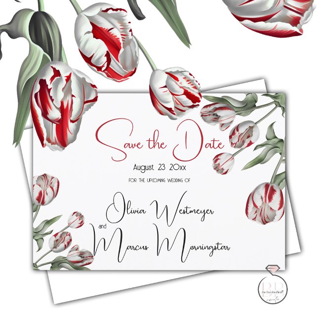 Save the Date | Floral Red & White Rembrandt Tulip Invitation (Send a Save the date  via  snail mail so your  friends and family can hold it in their hand)