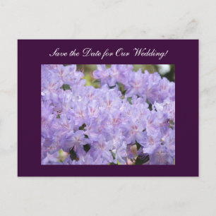 Save the Date for Our Wedding! postcards Lavender