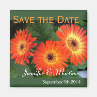 Save the date, gerbera daisy flowers
