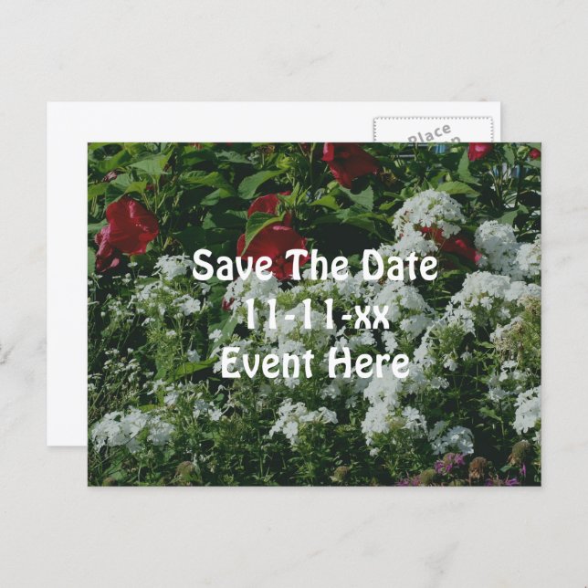 Save The Date Hibiscus Phlox Flower Garden Announcement Postcard (Front/Back)