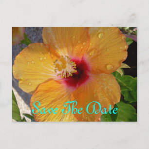 Save The Date Hibiscus Postcard