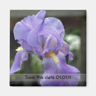 Save the date magnet