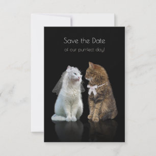 Save the Date of our Purr-fect Day!