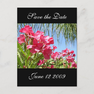 Save the Date Oleander Post Card