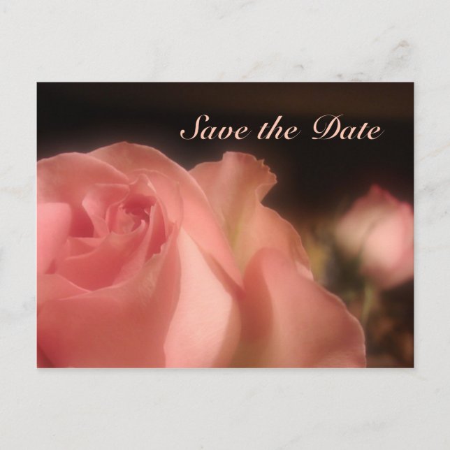 Save the Date - Peach Rose Postcard (Front)