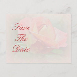 Save the Date - Peachy Rose Blossom Announcement Postcard
