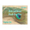 Save the Date Peacock Theme Postcard