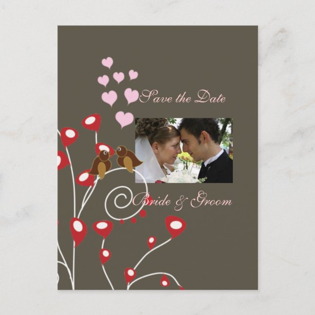 Save the Date Photo postcards, love birds Announcement Postcard (Front)