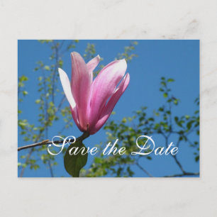 Save the date, pink magnolia flower announcement postcard