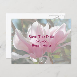 Save The Date Pink Magnolia Flower  Announcement Postcard
