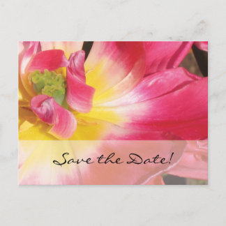 Save the Date! Pink Yellow Flower Postcard