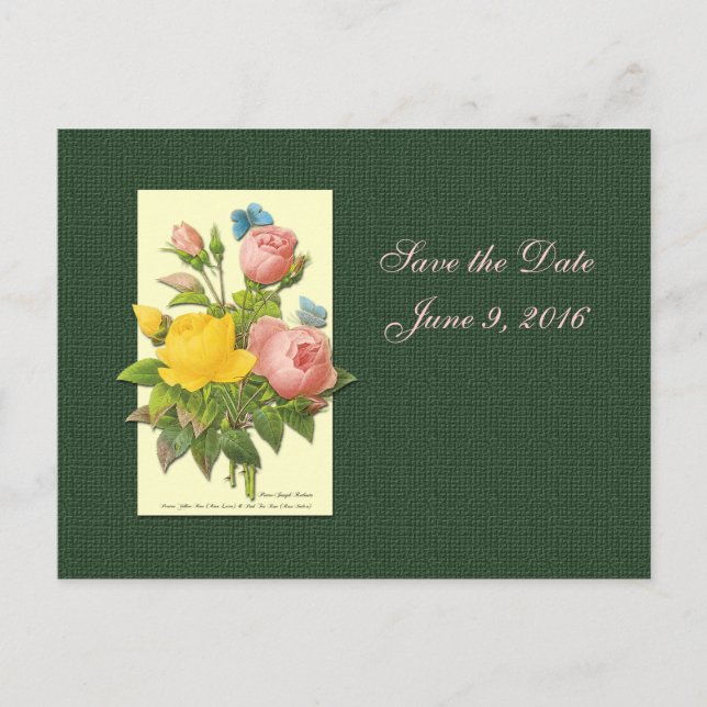 Save the Date Pink Yellow Roses Postcard (Front)