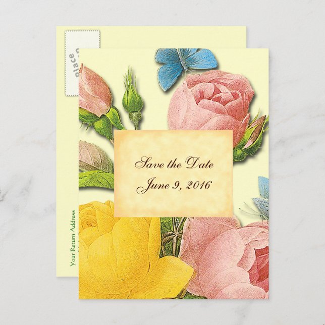 Save the Date Pink Yellow Vintage Roses Postcard (Front/Back)