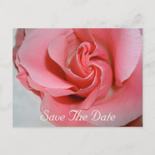 Save The Date Postcard