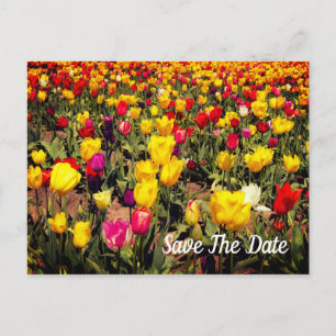Save The Date Postcard