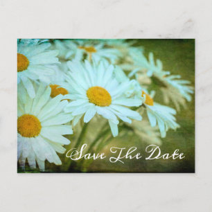 Save The Date Postcard
