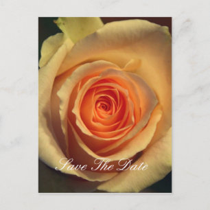 Save the Date Postcard