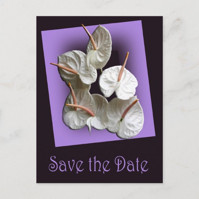 Save the Date postcard 2 - White Anthuriums (Front)