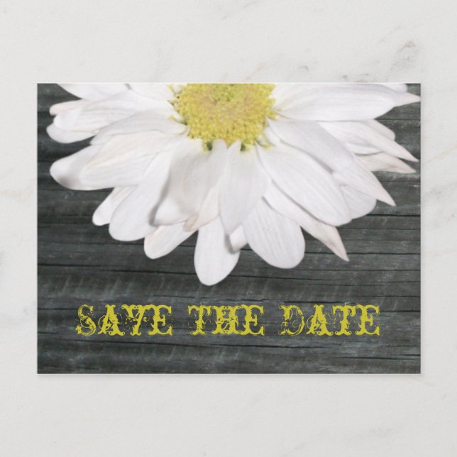 Save The Date Postcard - Daisy & Barnwood (Front)
