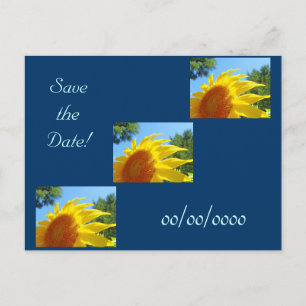 Save the Date postcards Weddings Engagement Flower