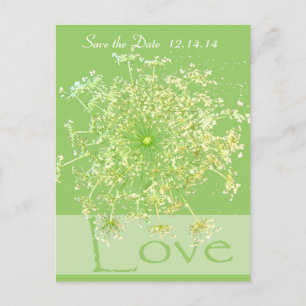 Save The Date  Queen Anne's Lace Announcement Postcard